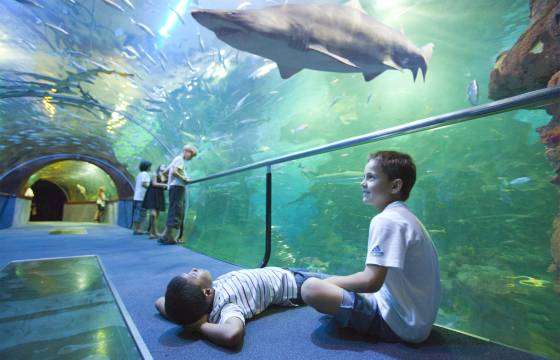 Aquarium